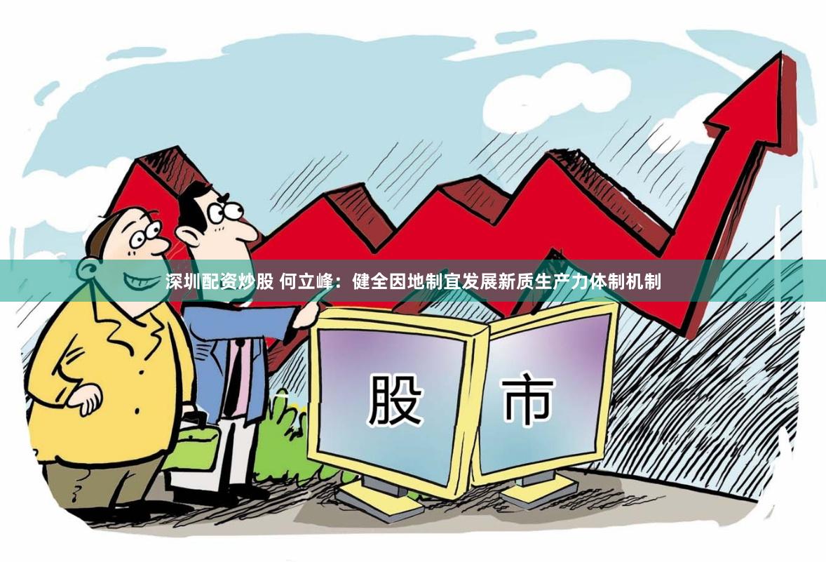 深圳配资炒股 何立峰：健全因地制宜发展新质生产力体制机制