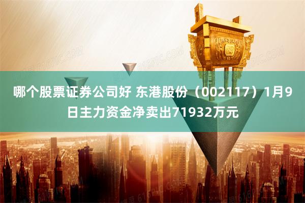 哪个股票证券公司好 东港股份（002117）1月9日主力资金净卖出71932万元