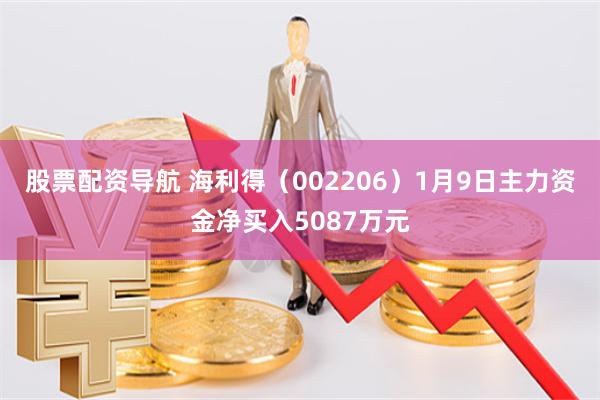 股票配资导航 海利得（002206）1月9日主力资金净买入5087万元